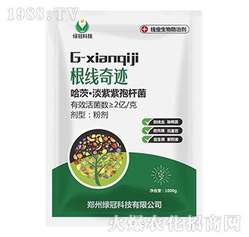 哈茨·淡紫紫孢桿菌-根線奇跡-綠冠