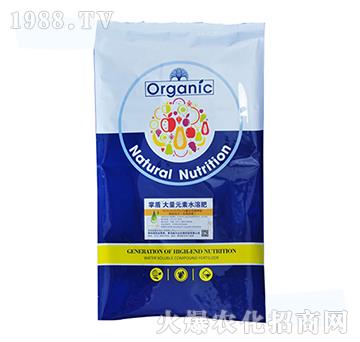 大量元素水溶肥（15-5-41.5）+TE-掌盾-威爾達(dá)