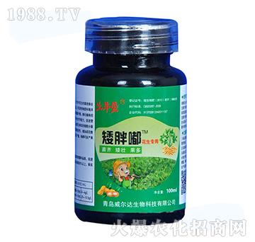 微生物肥（花生專(zhuān)用）-矮胖嘟-威爾達(dá)