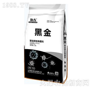 復(fù)合微生物菌劑-黑金-嘉潤肥業(yè)