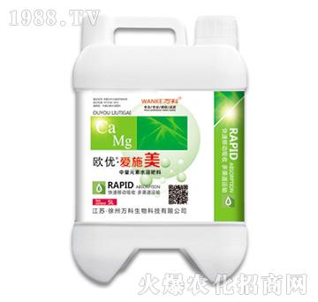 歐優(yōu)·愛(ài)施美-萬(wàn)科