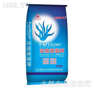 濃縮海藻鉀-英邦