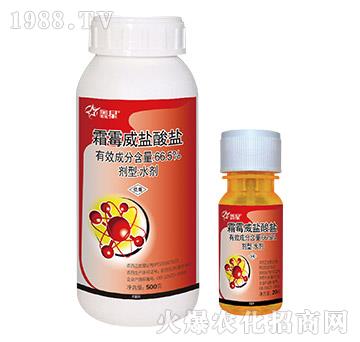 66.5%霜霉威鹽酸鹽-鑫星
