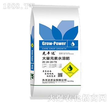 大量元素水溶肥料20-20-20+TE-先豐達(dá)