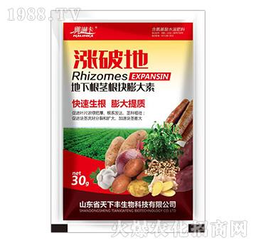 地下根莖根塊膨大素-漲破地-天下豐