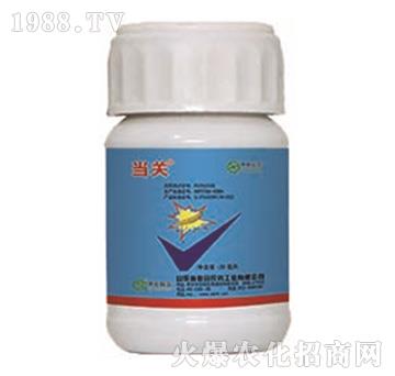 24%�����x����+5%