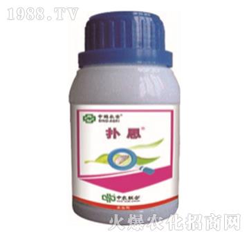 25%���ͪ-��˼-��