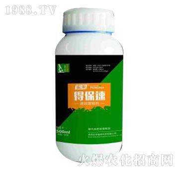 ��ጵ���-�ñ���-����