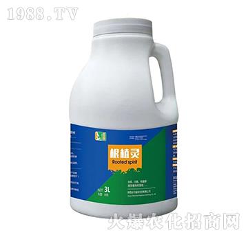 根植靈-實(shí)禾