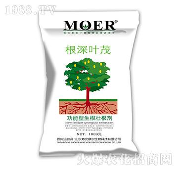 �����������Ѹ���-�����~ï-Ħ������