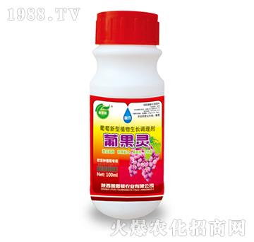 ��������ֲ�����L�{(di��o)�턩-�Ϲ��`-��˼�D�r(n��ng)�I(y��)