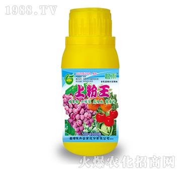 �Ϸ���-����-��˼�D�r(n��ng)�I(y��)