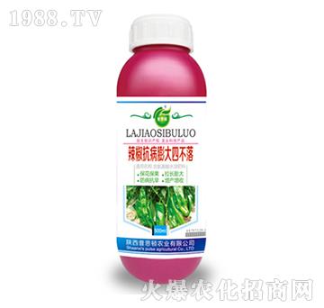 ������������Ĳ���-��˼�D�r(n��ng)�I(y��)