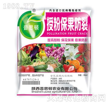 �ڷ۱�������-��˼�D�r(n��ng)�I(y��)