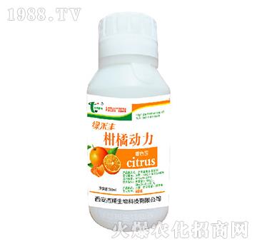 ���ل�(d��ng)��-�G���S-��������