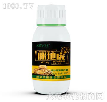 �����������-Û�ػ�-���Ɓ�