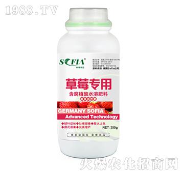 ��ݮ���ú���ֲ��ˮ�ܷ���-���Ɓ�