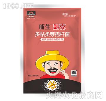 多粘類芽孢桿菌-昕生魁殼-美爾森