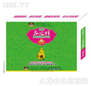 授粉坐果精華液-花之蜂-彪能-美爾森