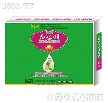 甜瓜專用授粉坐果精華液-花之蜂-美爾森