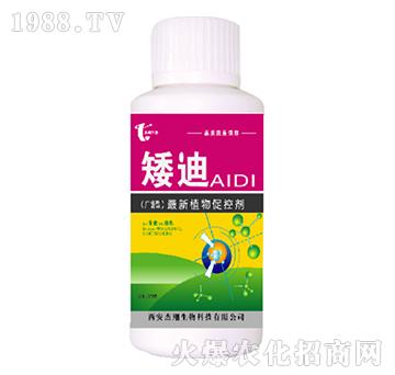 ֲ��ٿ؄�-����-��������