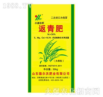 小麥壯桿返青肥-龍昕-德爾沃