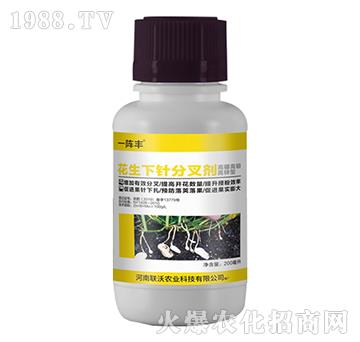 ������ᘷֲ愩-һ��S