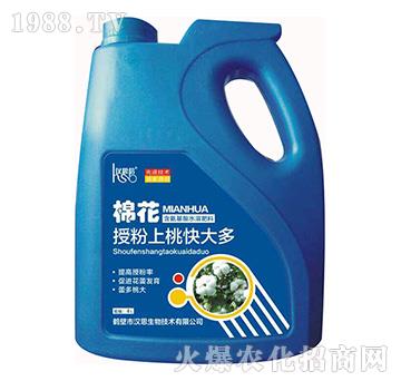 棉花授粉上桃快大多-漢思生物