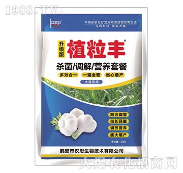 ���⌣(zhu��n)��-ֲ���S-�h˼����