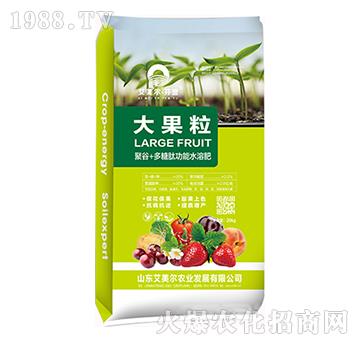 大果粒-艾美爾·芬譽(yù)