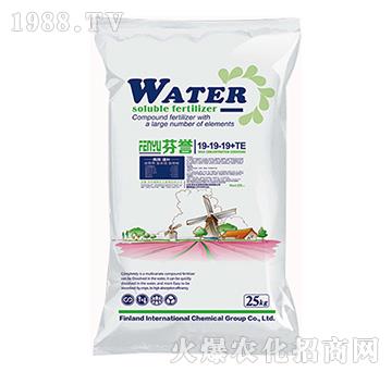 大量元素水溶肥19-19-19+TE-芬譽(yù)-艾美爾·芬譽(yù)-艾美爾