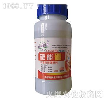 碳能硼-鯤鵬生態(tài)