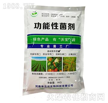 基礎營養(yǎng)型功能類菌劑-沃寶生物