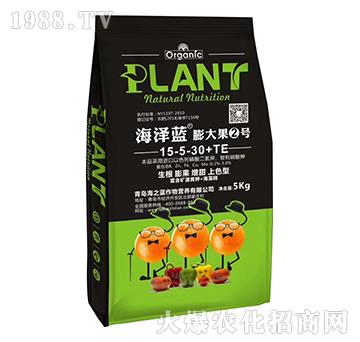 膨大果2號-海澤藍-海之藍