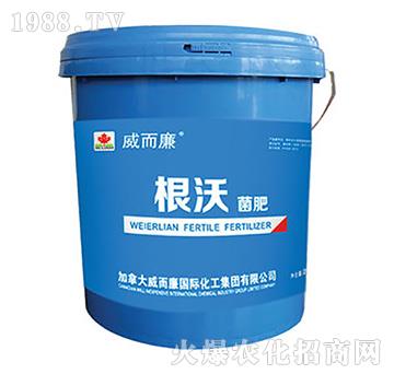 ���־���-������