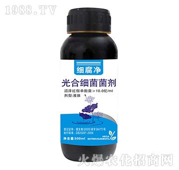 ��ϼ�������-������-����