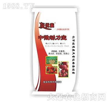 ��΢������-�S������