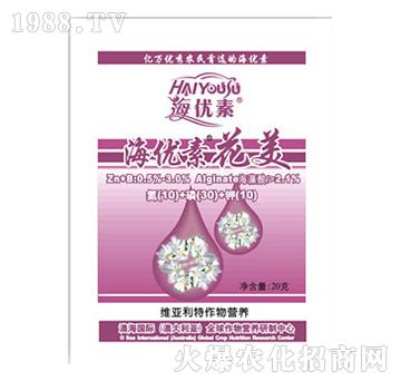 海優(yōu)素花美-維亞利特