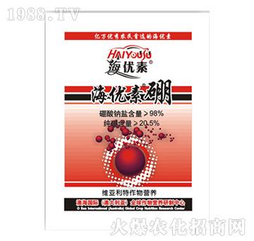 海優(yōu)素硼-維亞利特