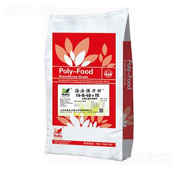 大量元素水溶肥料14-6-40+TE-海法保力田-海法