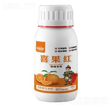 ���ٌ���ϲ���t-��ڌ�-�{(l��n)���r(n��ng)��