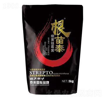 細黃鏈霉菌-根苗泰-泰來肥業(yè)