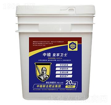 ΢�������-��ֲ�ʼ��l(w��i)ʿ-��ֲ��