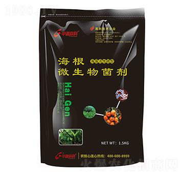 海藻活性碳型微生物菌劑-海根-中霖高科