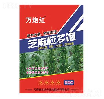 芝麻粒多飽-萬(wàn)炮紅-永納興