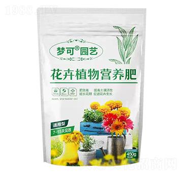 ����ֲ��I�B(y��ng)��-��(m��ng)�Ɉ@ˇ-�ڱ���