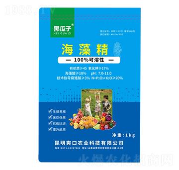 海藻精-黑瓜子-新稻香村