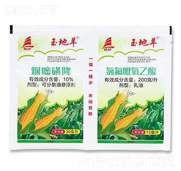 10%煙嘧磺隆+200克每升氯氟吡氧乙酸-玉地羊-喜豐收