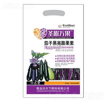 ���Ӻ��������-ʥ���f(w��n)��-������