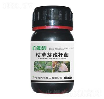 枯草芽孢桿菌-白粉清-天農(nóng)化工